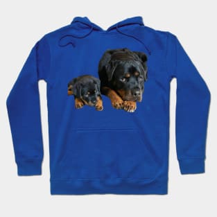 "Loyal Bond: Rottweiler Mothering" Hoodie